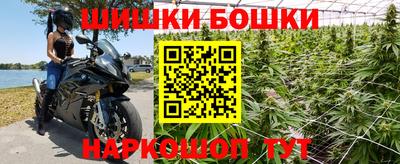 гидра Кингисепп