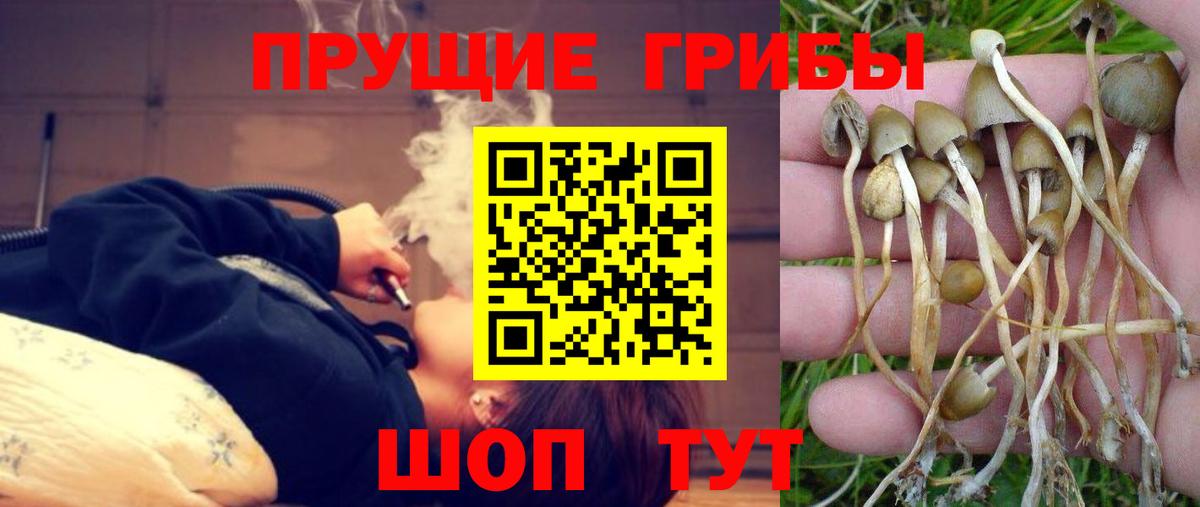 Псилоцибиновые грибы ЛСД Кропоткин